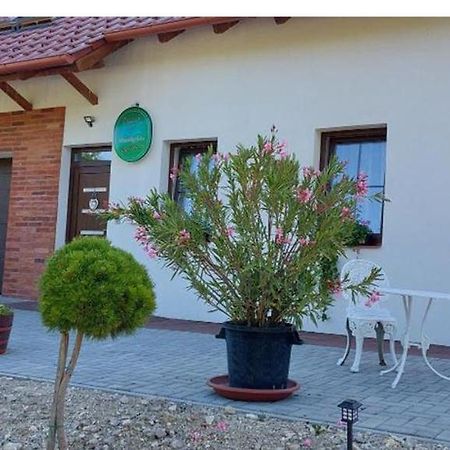 Hotel Patak Vendeghaz Zalaegerszeg Exterior foto